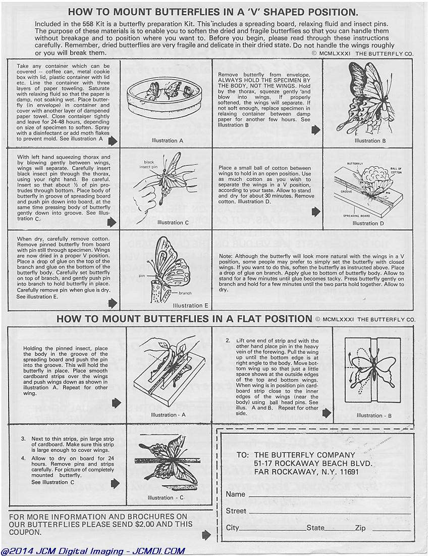 The Butterfly Company(NY) ads, forms, fliers